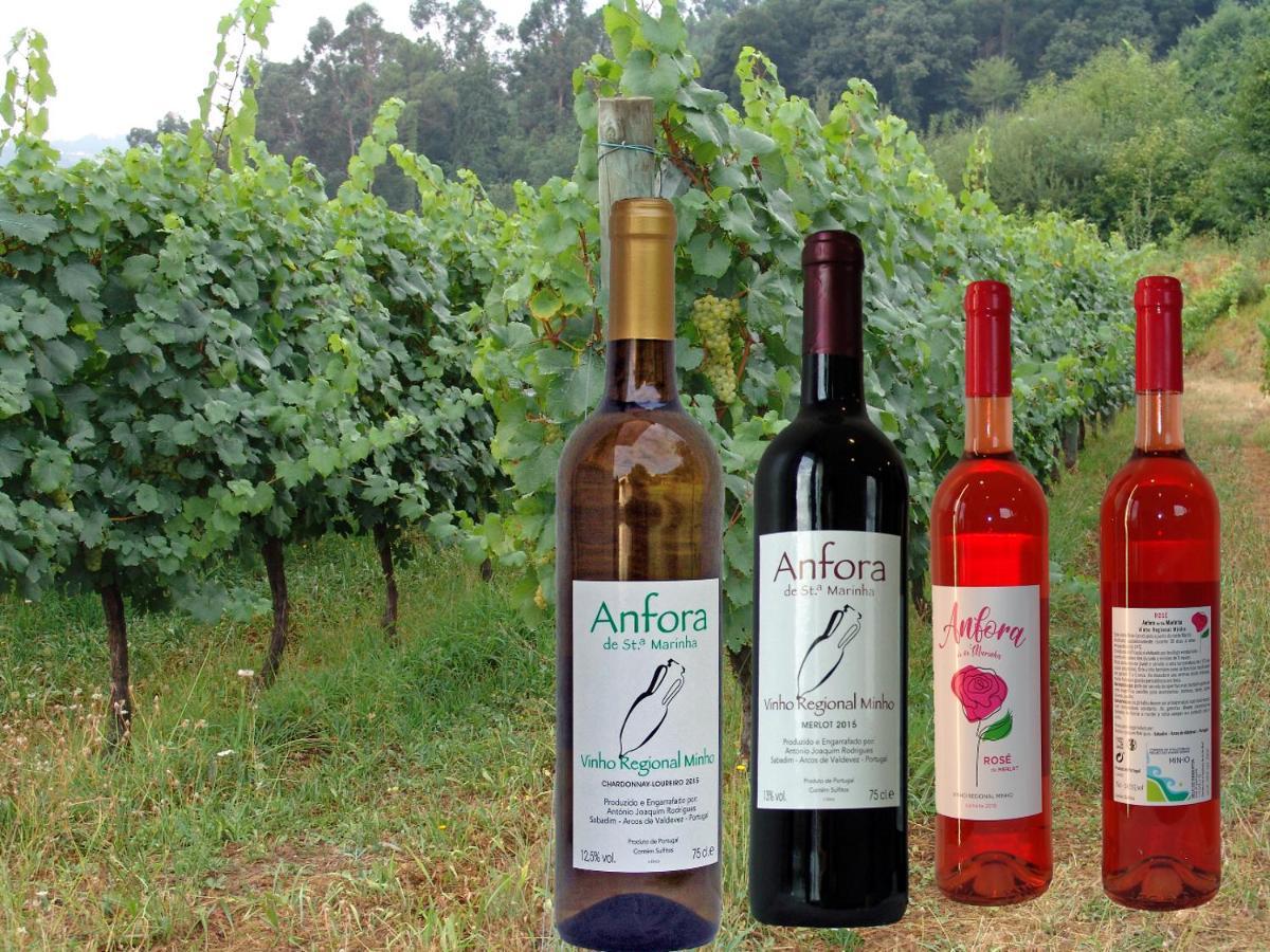 Quinta De Santa Marinha Lejlighed Arcos de Valdevez Eksteriør billede