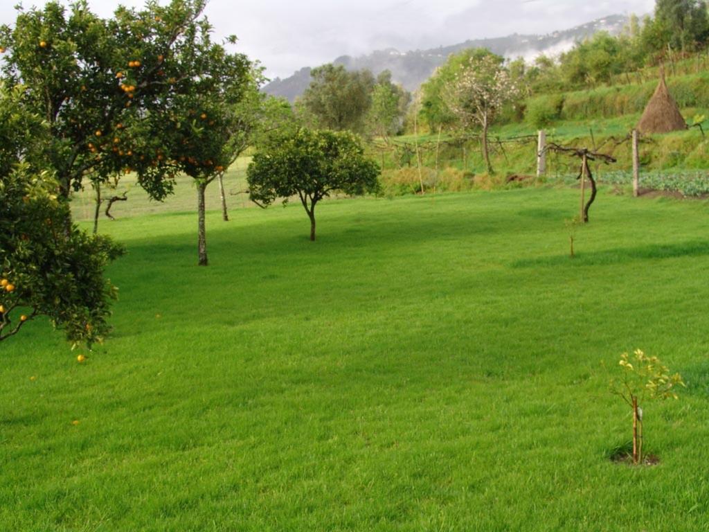 Quinta De Santa Marinha Lejlighed Arcos de Valdevez Eksteriør billede
