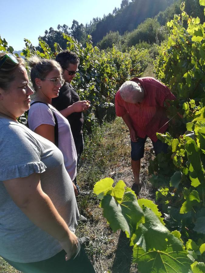 Quinta De Santa Marinha Lejlighed Arcos de Valdevez Eksteriør billede