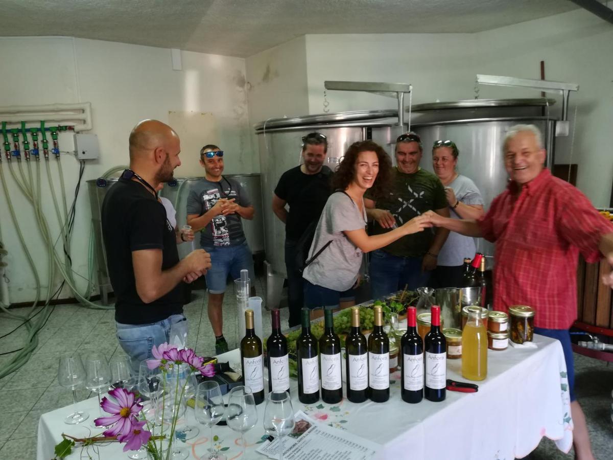 Quinta De Santa Marinha Lejlighed Arcos de Valdevez Eksteriør billede